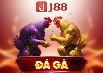 đá gà j88