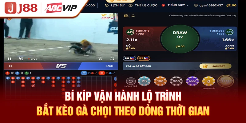 Bí kíp vận hành lộ trình bắt kèo gà chọi theo dòng thời gian