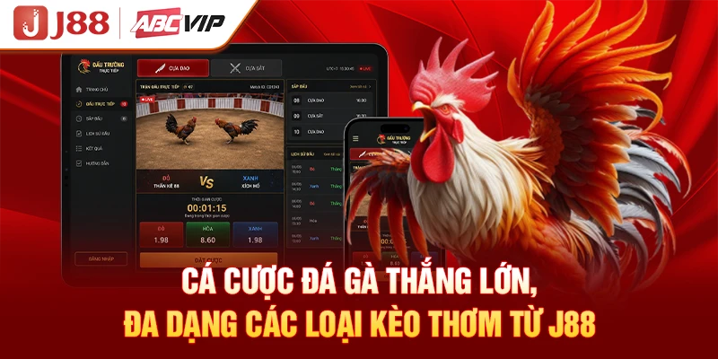 Cá Cược Đá Gà Thắng Lớn, Đa Dạng Các Loại Kèo Thơm Từ J88