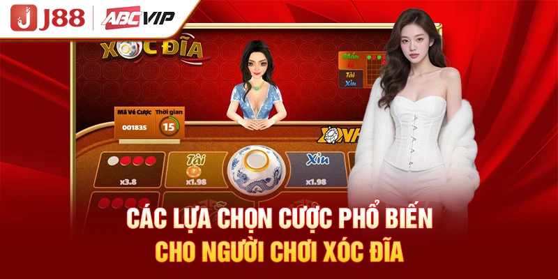 Các lựa chọn cược phổ biến cho người chơi Xóc Đĩa