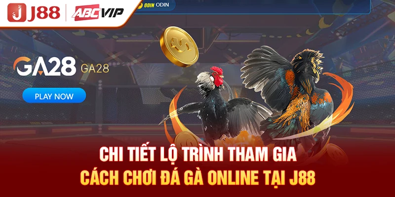 Chi tiết lộ trình tham gia cách chơi đá gà online tại J88