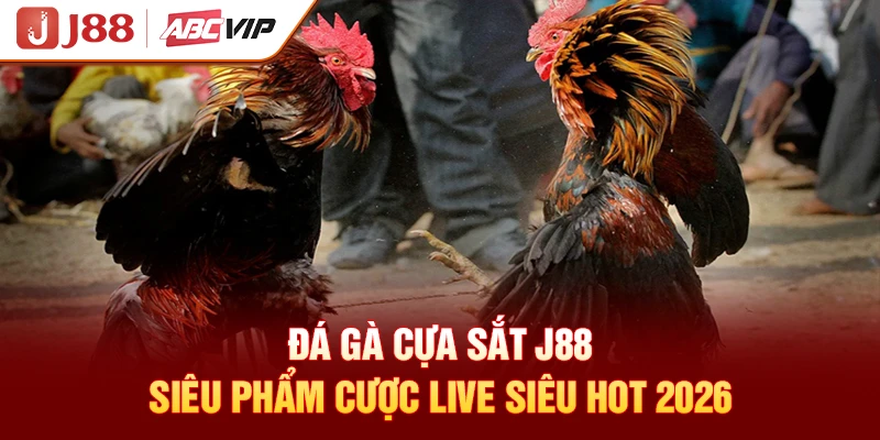 Đá Gà Cựa Sắt J88 - Siêu Phẩm Cược Live Siêu Hot 2026