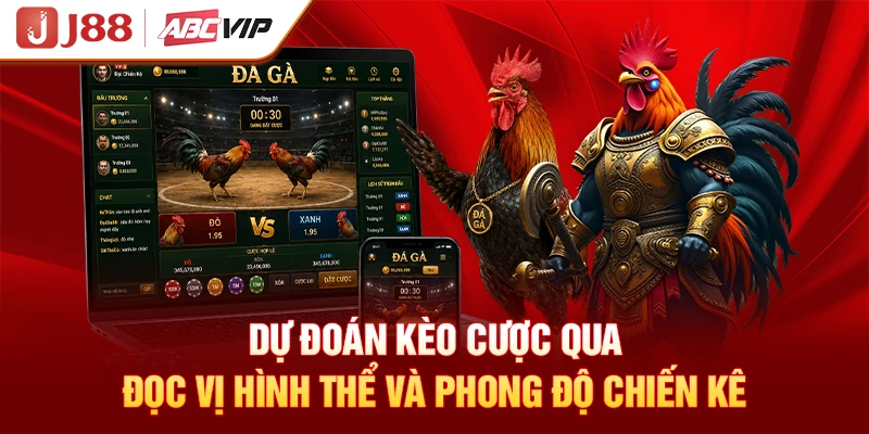 Dự đoán kèo cược qua đọc vị hình thể và phong độ chiến kê