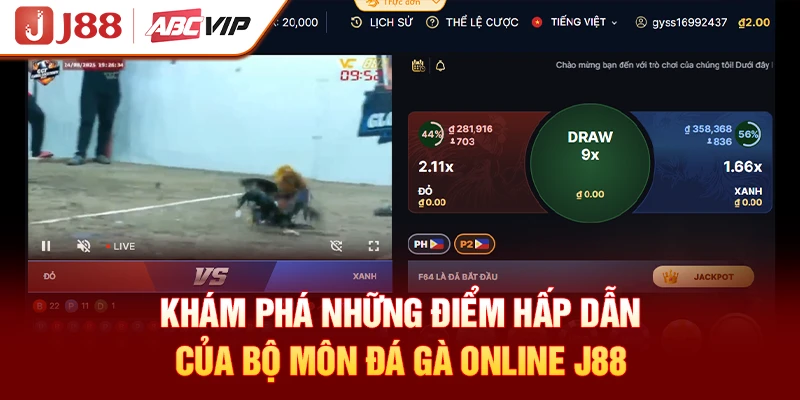 Khám phá những điểm hấp dẫn của bộ môn đá gà online J88