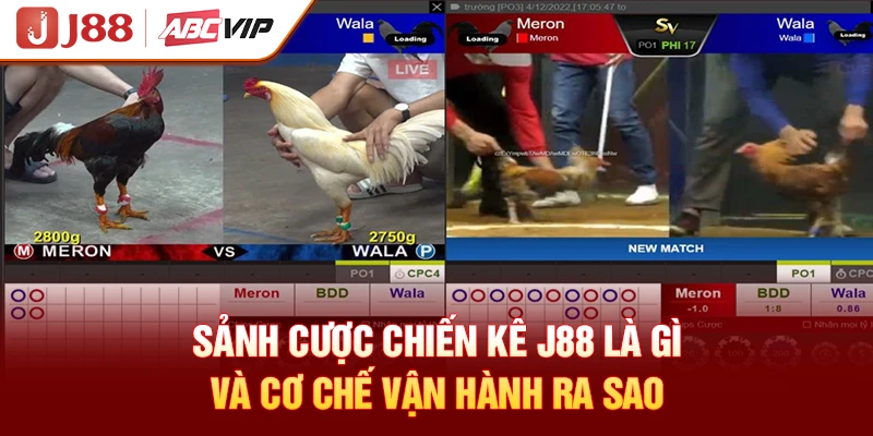 Sảnh cược chiến kê J88 là gì và cơ chế vận hành ra sao